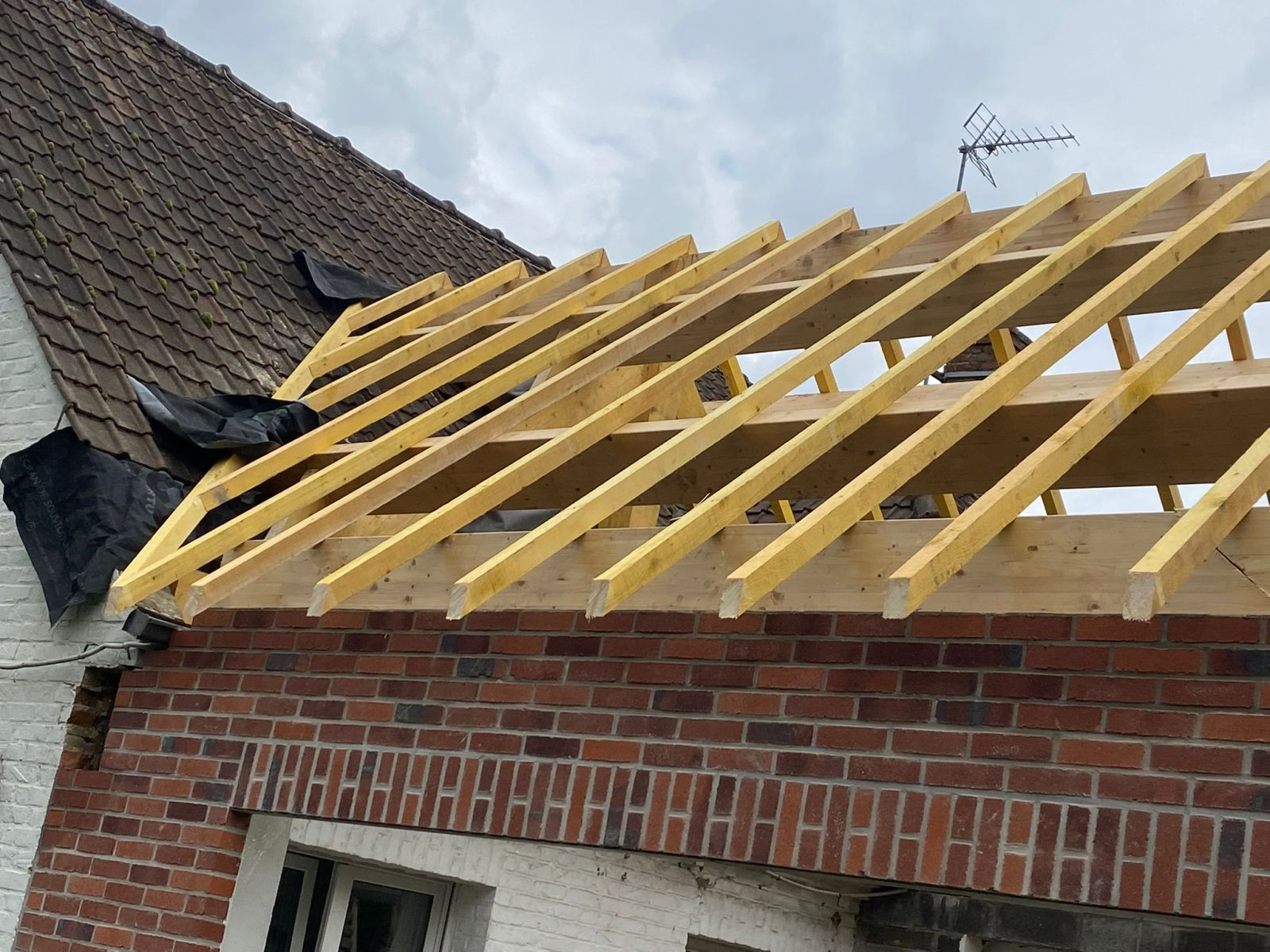 charpente bois de l'extension avant couverture, rénovation d'une maison à Bondues